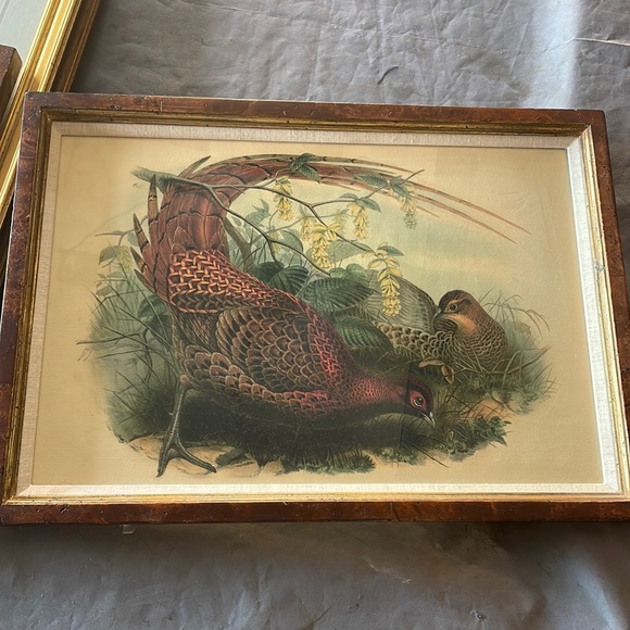 Soicher Marin - Picture 1 of 1